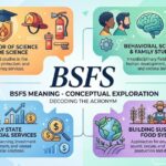 bsfs Meaning