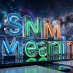 snm meaning