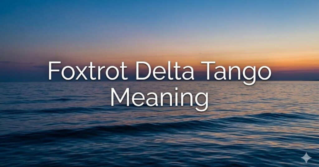 What does Foxtrot Delta Tango Mean