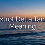 What does Foxtrot Delta Tango Mean