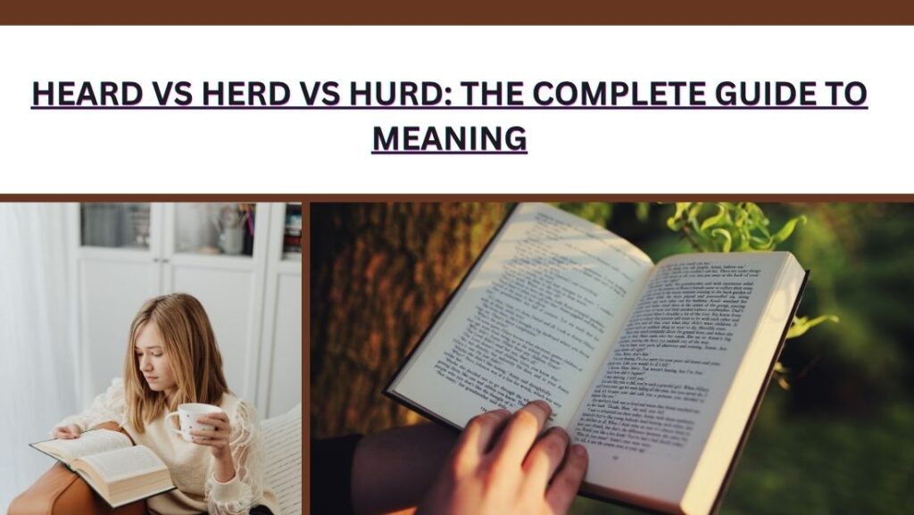 Heard vs Herd vs Hurd: The Complete Guide to Meaning